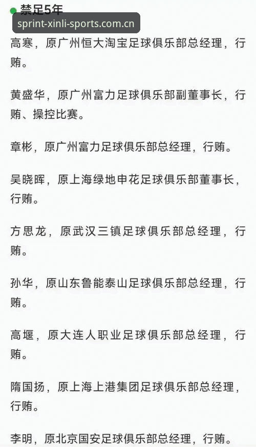 中国足协第三批禁足名单深度评测：新利体育官网用户视角下的行业整顿与观赛体验